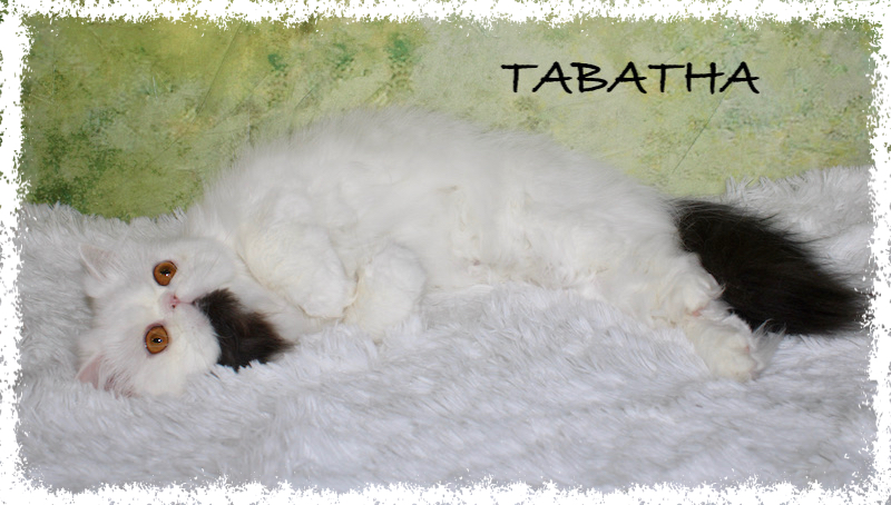 TABATHA 1 TABATHA 1