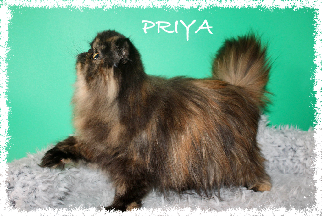 PRIYA