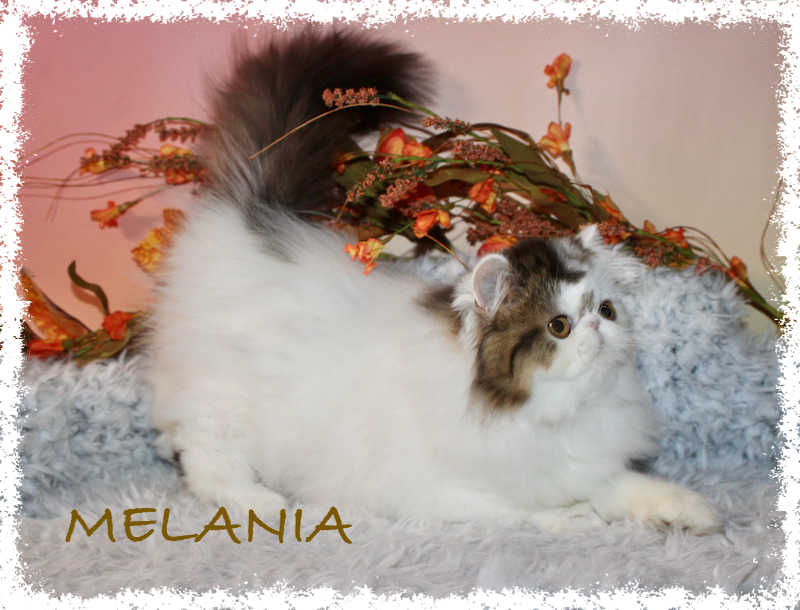 MELANIA