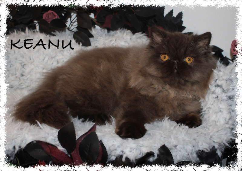 Keanu