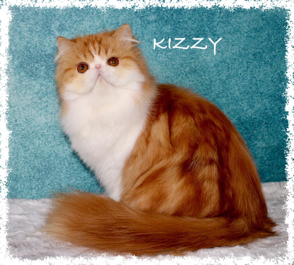 Kizzy