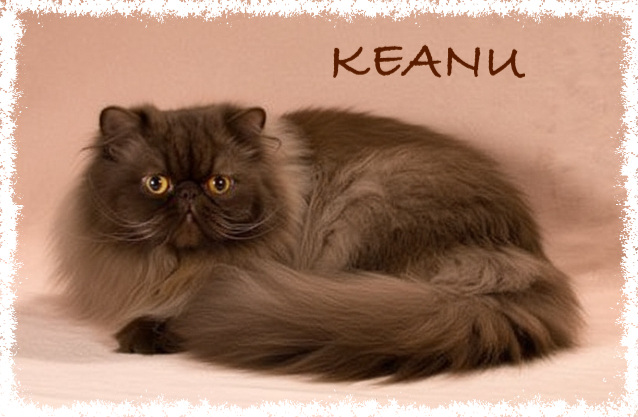KEANU